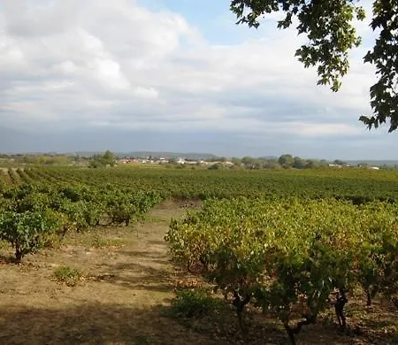 Гостевой дом Chateau Du Comte