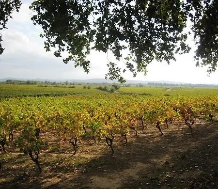 Maison d'hôtes Chateau Du Comte Saint-Nazaire-d'Aude